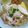 Cooksnap dari Nina Harsono untuk resep Soto Seger Boyolali