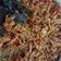 Cooksnap dari Atika Devi Yoviana untuk resep Kering tempe
