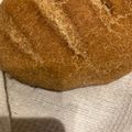 Ducsai Anikó Cooksnap-ja, amikor elkészítette a(z) Teljes kiőrlésű lisztből készült egyszerű kenyér receptet.