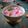 Cooksnap dari IzzaHan untuk resep Sop Buah
