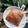 Cooksnap dari Tante Mer untuk resep Picnic Roll