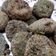 Rajvi Bhalodi's cooksnap of when they made હરા ભરા કબાબ (Hara Bhara Kebab Recipe In Gujarati).