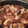 El cooksnap de Noxcelis Hernández cuando hizo Costillas de Cerdo o Cochino condimentadas con Sal y Pimienta.