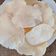 Jigna Patel's cooksnap of when they made હોમમેડ બટાકા વેફર (Homemade Bataka Wafer Recipe In Gujarati).