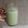 El cooksnap de Esther Soto cuando hizo Licuado de espinacas y manzana.