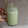 El cooksnap de Esther Soto cuando hizo Licuado de espinacas y manzana.