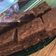 El cooksnap de Avril Spinelli cuando hizo Brownies.