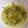 Cooksnap Aznie Khasri semasa beliau membuat Masak lemak pucuk paku.