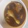 Cooksnap dari Alexandra Yunita Kristanti untuk resep Semur Ayam Kentang