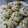El cooksnap de Soll carrizo cuando hizo Cookies de chips de chocolate (tipo las Levain Cookies de New York).