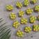 Cooksnap dari Silmia Latifah Irhami untuk resep Checkerboard Cookies