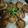 Mk Mahwish's cooksnap of when they made Aloo shami kabab.