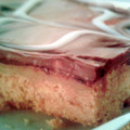 Chloe.Reed's cooksnap of when they made Chocolate caramel slice.