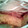Chloe.Reed's cooksnap of when they made Chocolate caramel slice.