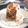 El cooksnap de Fofymau cuando hizo Mug cake banana bread con chocolate.