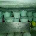 Cooksnap dari Dinie untuk resep Es krim pop ice lebaran