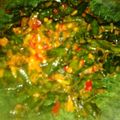Cooksnap dari Aefaa untuk resep Pencok Kacang Panjang Seuhah (pedas)