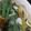 Cooksnap dari Maulida Rizkia Madina untuk resep Sayur Bening Kacang Panjang
