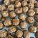 Prachi desai's cooksnap of when they made અડદિયા (Adadiya Recipe In Gujarati).