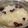 西風羽 的 老北京銀耳燉梨甜湯 cooksnap