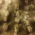 BakinBates's cooksnap of when they made Oreo balls.