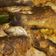 Cooksnap dari Dina Herma untuk resep Ikan cukil bumbu kuning