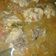 Cooksnap dari Dwi Tobing untuk resep Tongseng Sayap Ayam (tanpa santan)