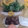 Cooksnap dari Putri Sutoto untuk resep Brownies cookies