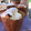 El cooksnap de Silvana Ester Arrieta cuando hizo Pan Dulce Navideño de Avena, sin Huevo, sin Manteca, sin Harina, Saludable y Vegano.