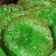 Cooksnap dari Wien Lestari untuk resep 525. Kue Cucur Pandan Berserat #RabuBaru