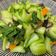 人如其食 的 香菇炒青江菜 cooksnap