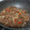 Cooksnap dari Miftania Zahra untuk resep Beef slice black pepper