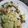 El cooksnap de soyfroda cuando hizo Ensalada templada de judías verdes, atún y espárragos con salsa de aguacate y queso light.
