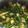 Sonal Karia's cooksnap of when they made Chawli ya Choli sabzi.
