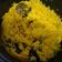 Cooksnap dari laily untuk resep Nasi Kuning Magic Com