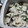 El cooksnap de Mar GM cuando hizo Mejillones al cava con MyCook Touch.