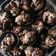 Cooksnap dari Ros untuk resep Cookies chococrunch/chocochip