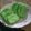 Cooksnap dari Hesti Ney untuk resep Bolu kukus pandan super lembut