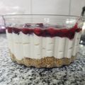 El cooksnap de Vanessa Münch cuando hizo "cheesecake" SIN HORNO.