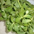 صورة من 🌙Chef luna، شاركها بعد تجربة وصفة فتوش أخضر 🥗