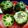 Sukla Sil's cooksnap of when they made স্টাফ্ড ক্যাপ্সিকাম(Stuffed capsicum recipe in bengali).
