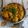 Dr. Pushpa Dixit का कुकस्नैप जब उन्होंने होटल जैसी गोभी आलू मसाला (Hotel jaisi gobhi aloo masala recipe in hindi) बनाया था।