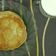 Cooksnap dari Novita S untuk resep Banana pancake pengganti nasi