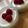 Cooksnap από Margarita Margariti στη συνταγή Ζελέ μπανάνα με γιαούρτι και φρέσκα φρούτα !