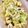 はちみつかなこ's cooksnap of when they made ■簡単副菜■梅おかかキャベツ大量消費減量.