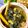 Cooksnap Salina Jalaludin semasa beliau membuat Siput Masak Lemak Cili Padi.