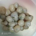 Cooksnap dari Ashley Pray Althea untuk resep 310. Cilok empuk walau sudah dingin