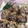 El cooksnap de ALMUDENA O.R. cuando hizo Galletas blandas de plátano y chocolate súper sanas.