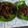 Cooksnap dari Gina Luthfi untuk resep Ayam Bakar Taliwang