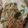Saira Abdullah's cooksnap of when they made Chow mein.